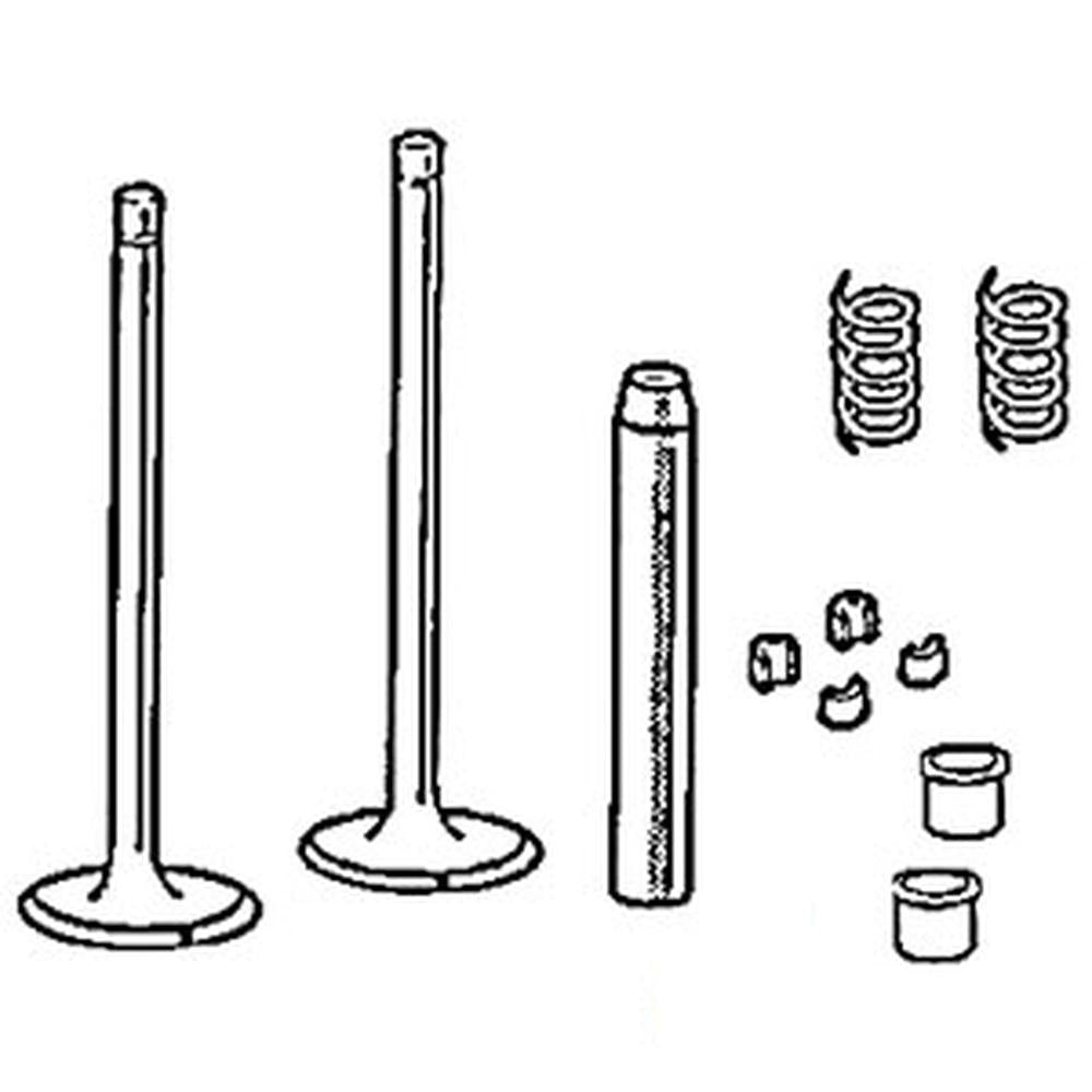 EBU6507A Intake Valve – Fits Ford / New Holland