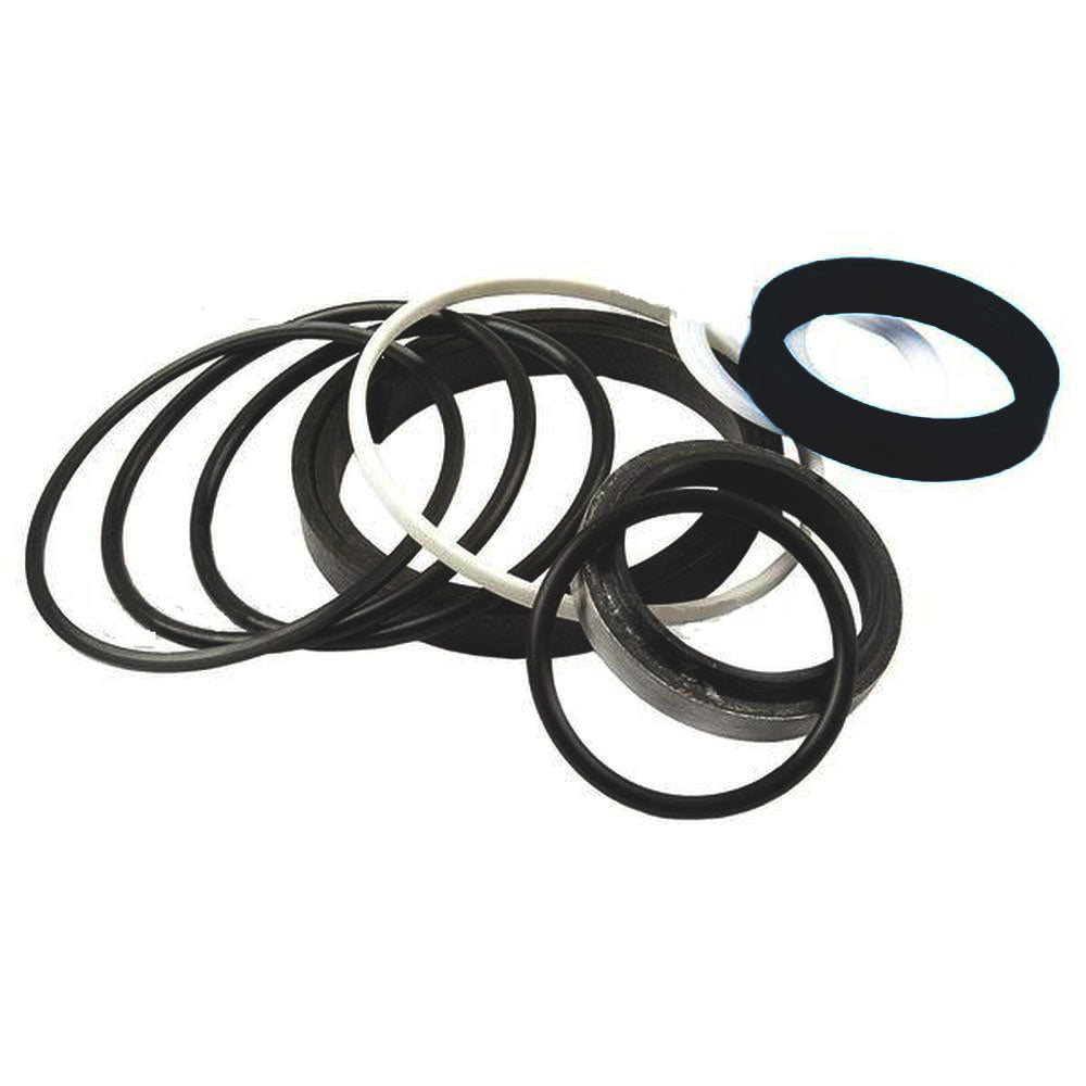 1606532M94 Cylinder Seal Repair Kit – Fits Massey Ferguson