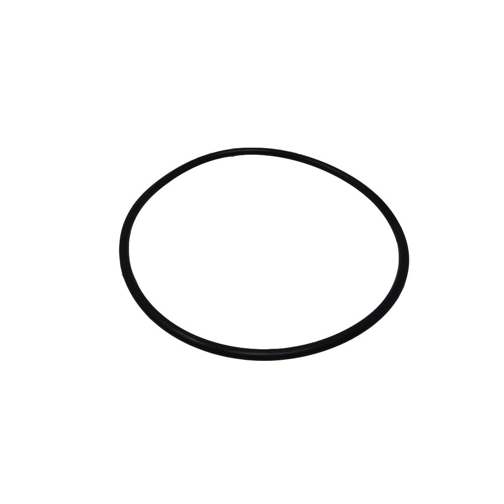 87421147 O-Ring
