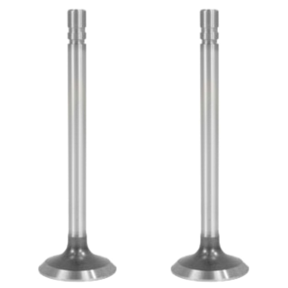 R52252 Two Exhaust Valves – Fits John Deere