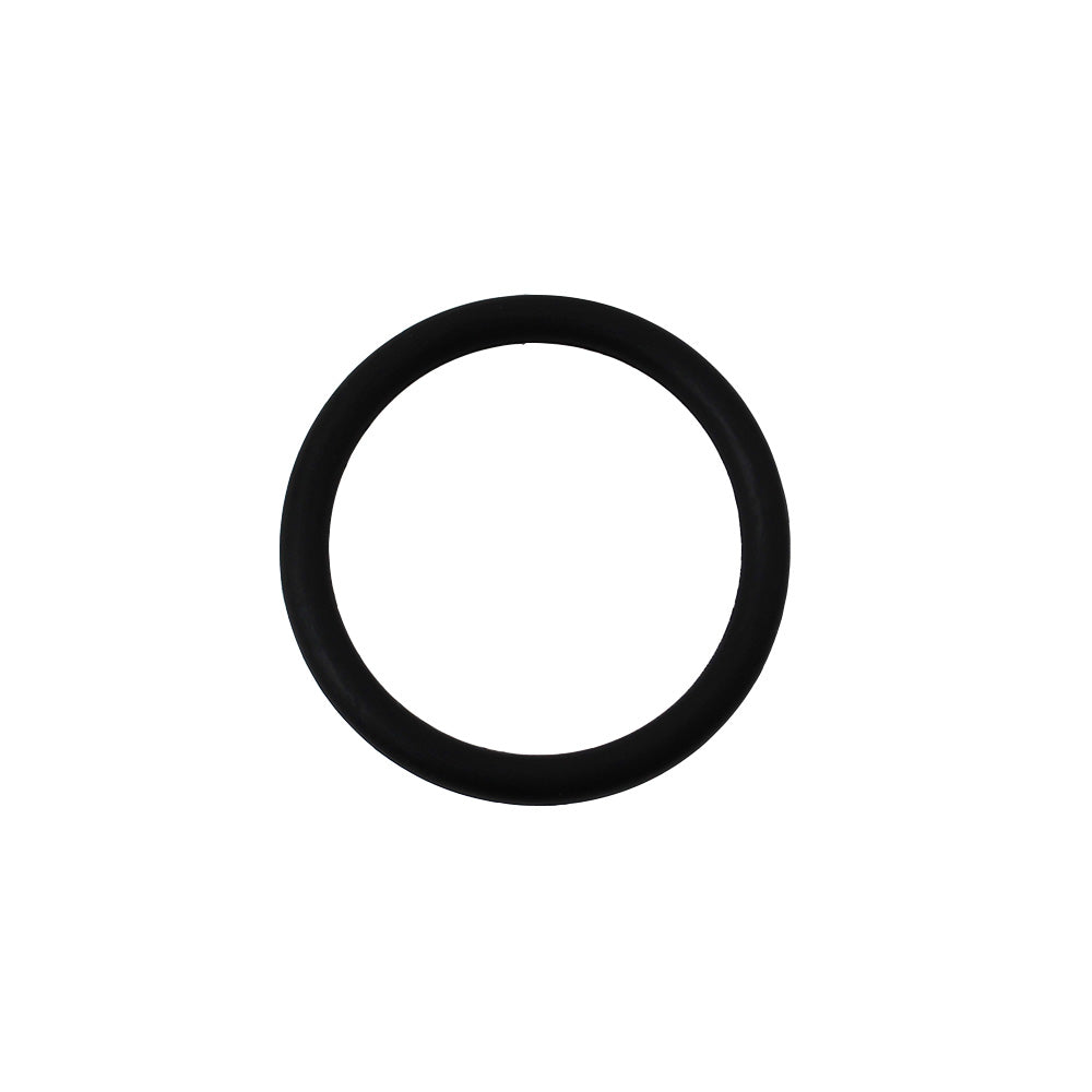 195565M1 Lift Shaft O-Ring