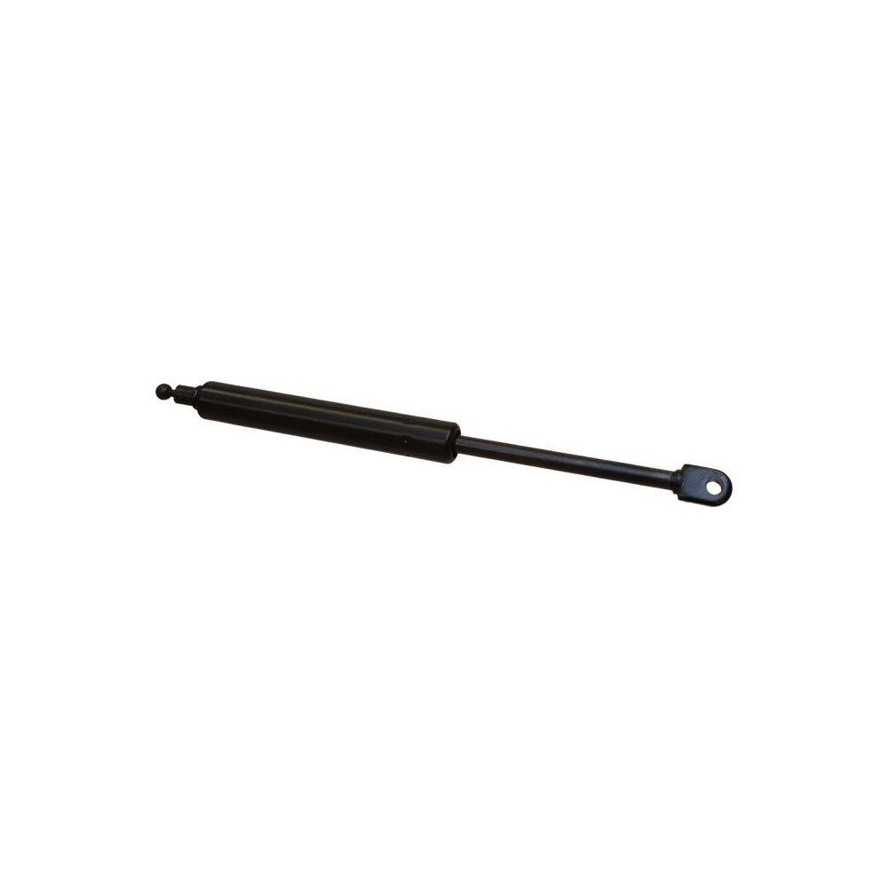 82002925 Gas Strut