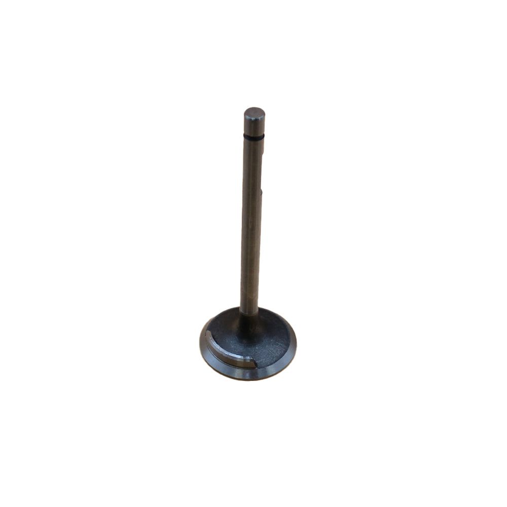 TX10136 Intake Valve – Fits Long – additional image 2