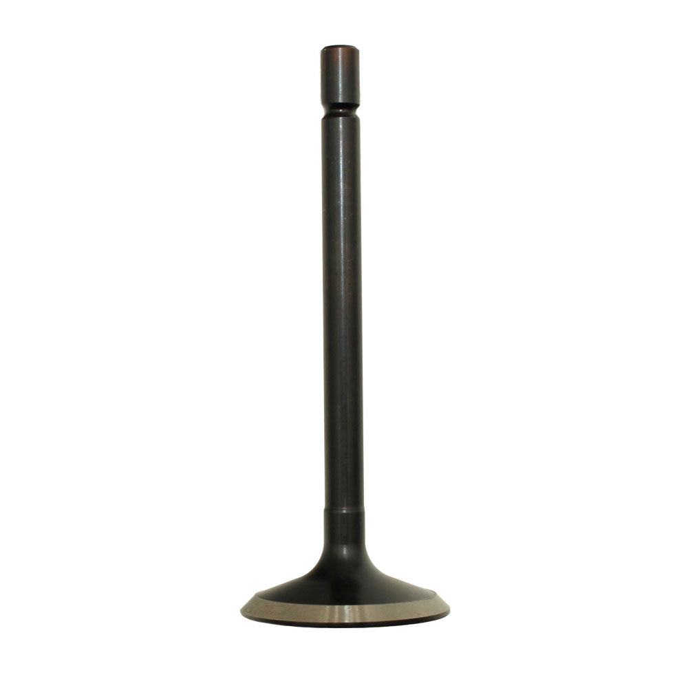 120166350 Intake Valve – additional image 3
