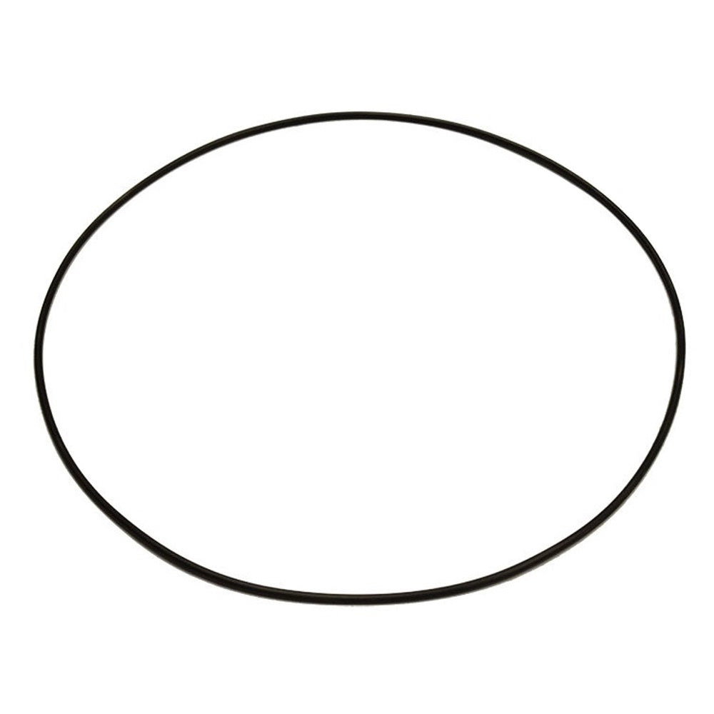 100552A1 O-Ring – Fits Case