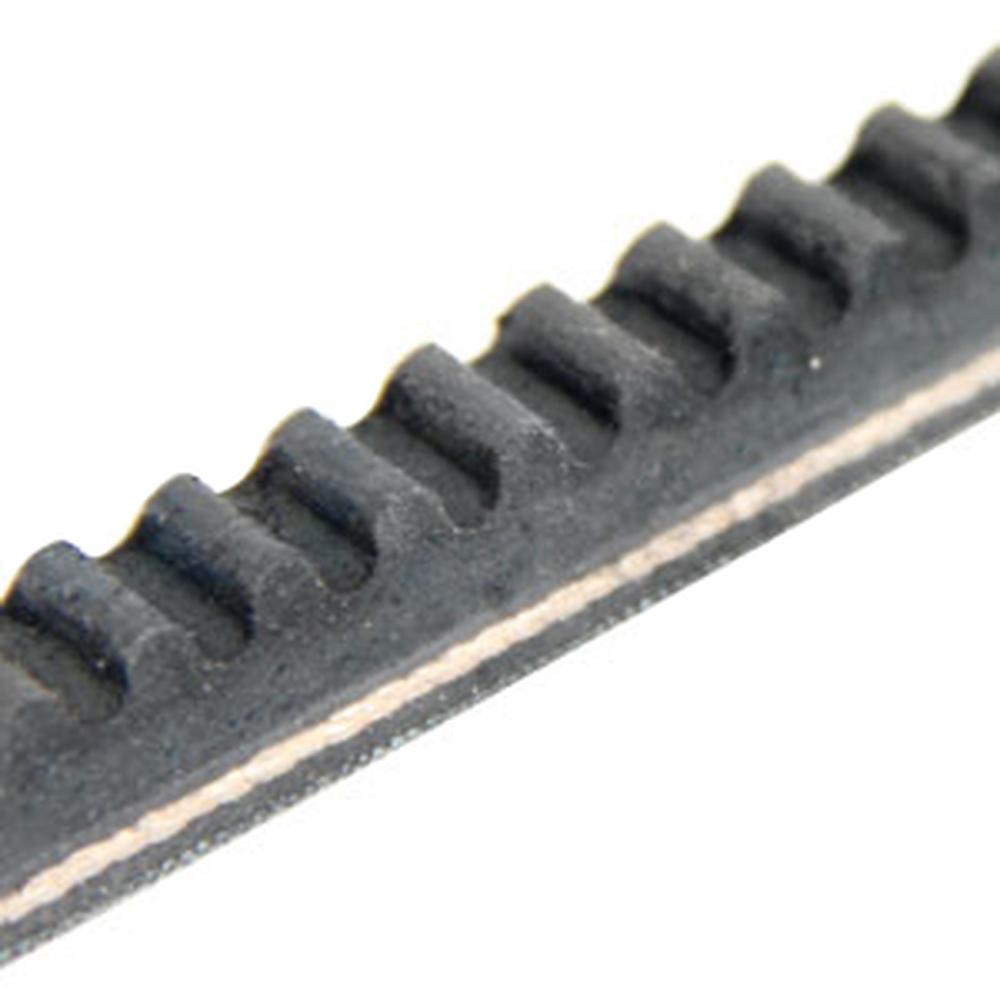 843198M1 Belt, Countershaft / Hyd Pump / AC Compressor – additional image 2