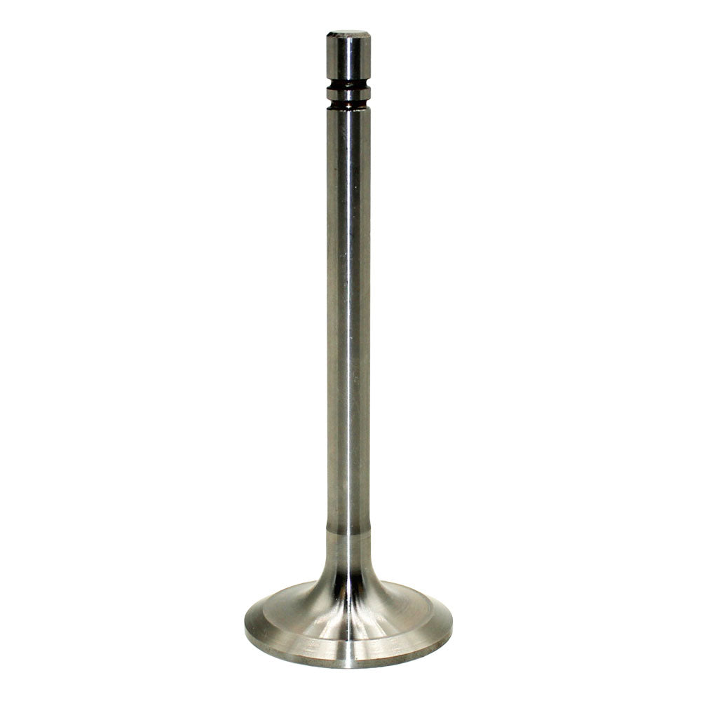 T12356 Intake Valve – Fits John Deere