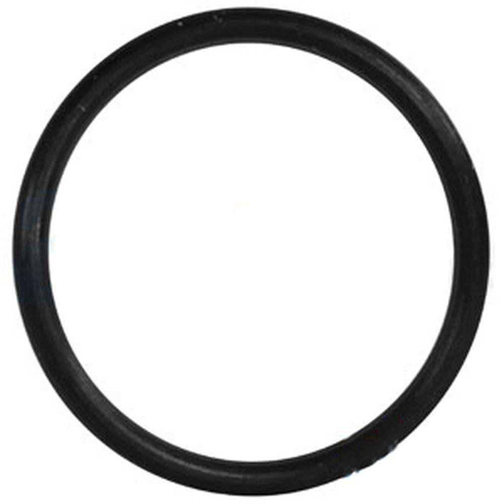 A-U46166 O-Ring