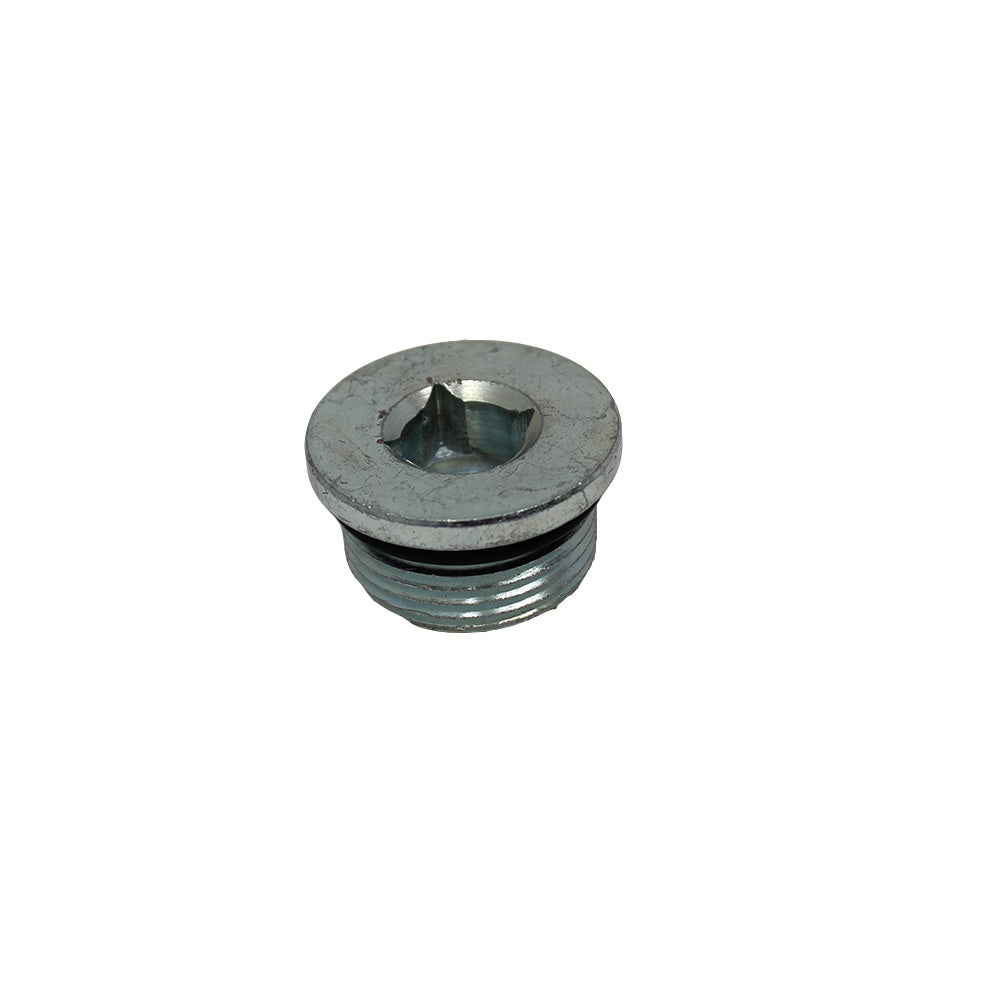 100557A1 Plug, Drain Includes 238-6121 O-ring