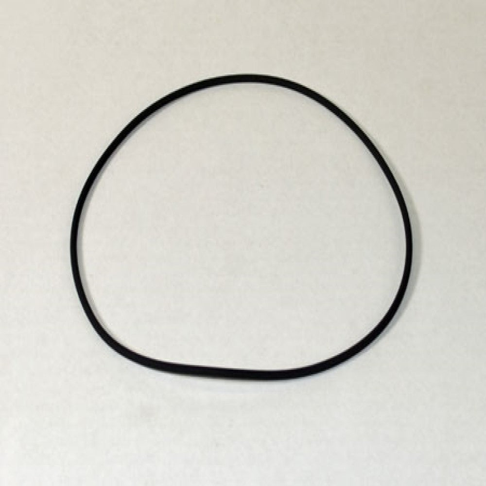 308036A1 O-Ring