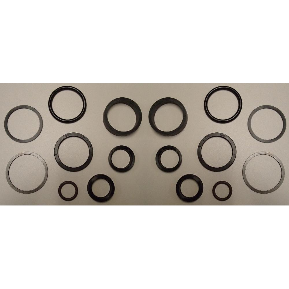 D148100 Qty 2: Cylinder Seal Repair Kit – Fits Case / International Harvester