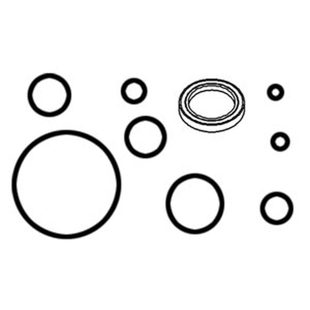 1810437V91 P/S Cylinder O-Ring Kit – Fits Massey Ferguson