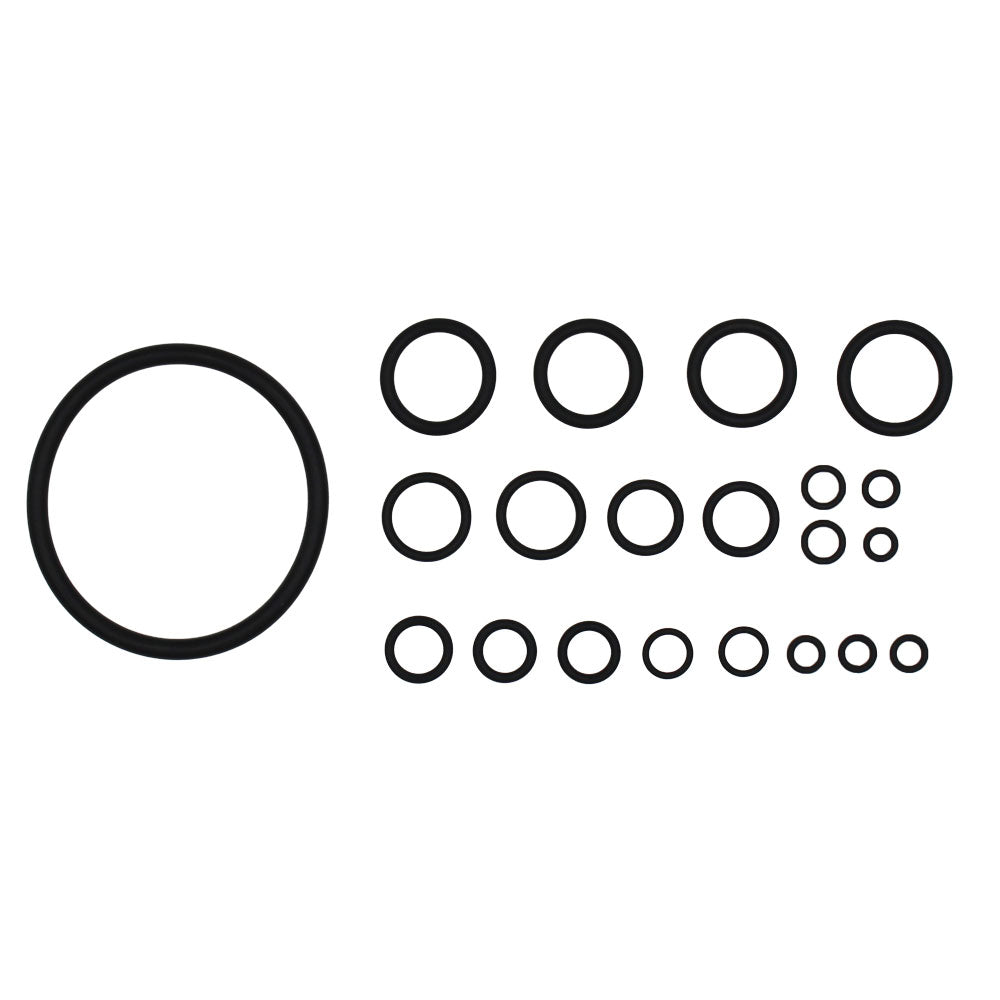 3067990R91 O Ring Kit Various 21 pcs Agripak – Fits Case IH