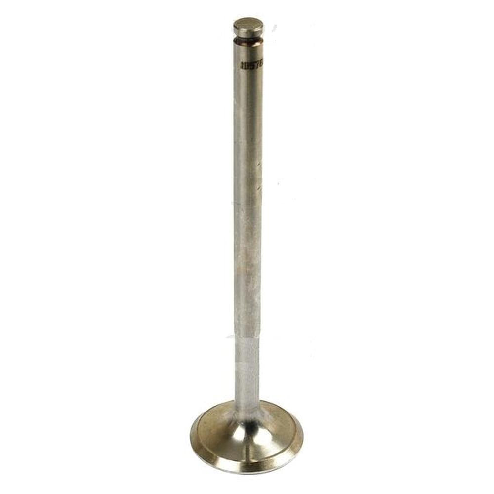 3040361R1 Intake Valve
