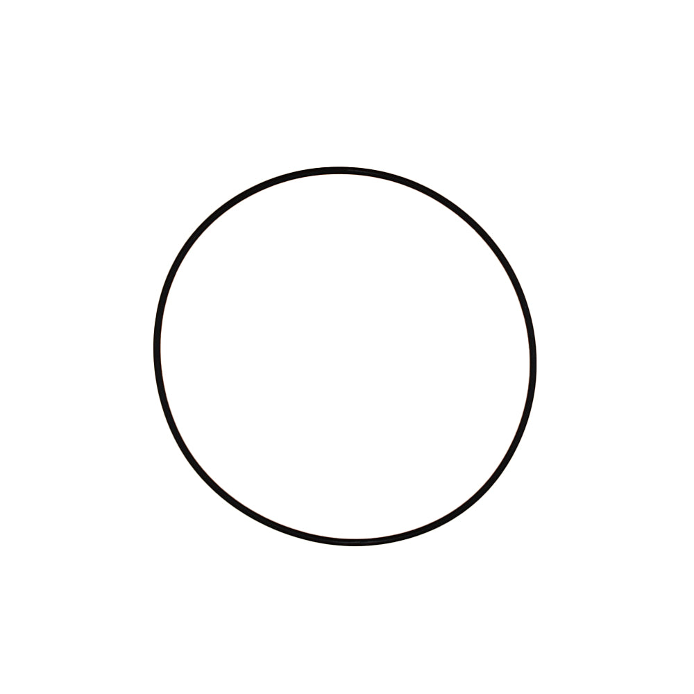 190492A1 O-Ring – Fits Case / International Harvester