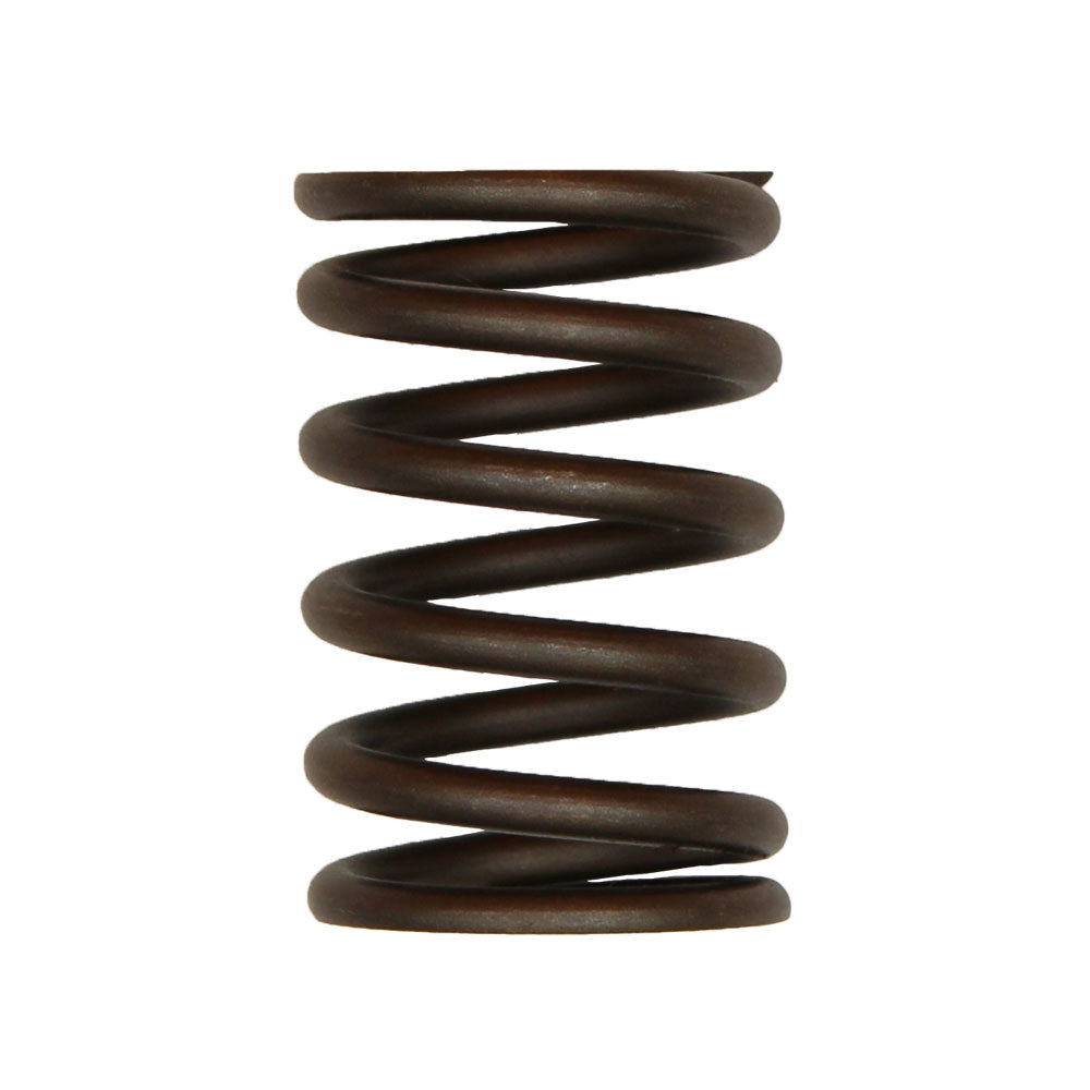 Valve Spring - Outer – Fits Ford / New Holland