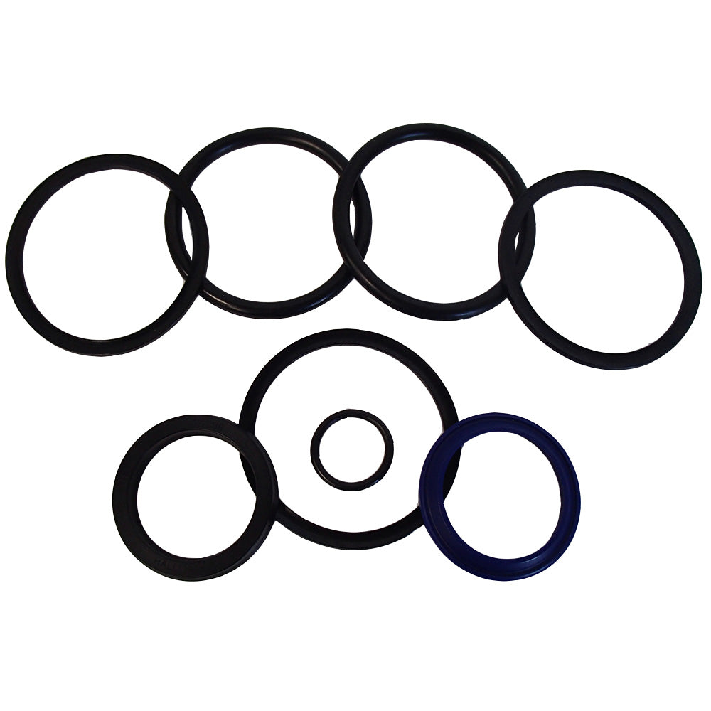 00G03580 Cylinder Seal Repair Kit – Fits Gehl