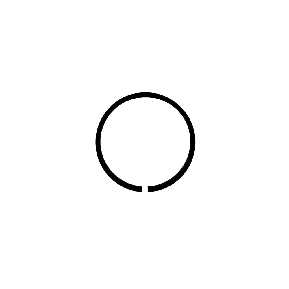 190848M1 Hydraulic Lift Pump Piston Ring – Fits Landini