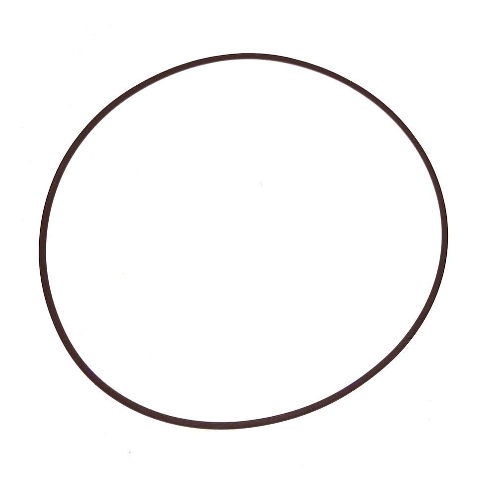190493A1 O-Ring