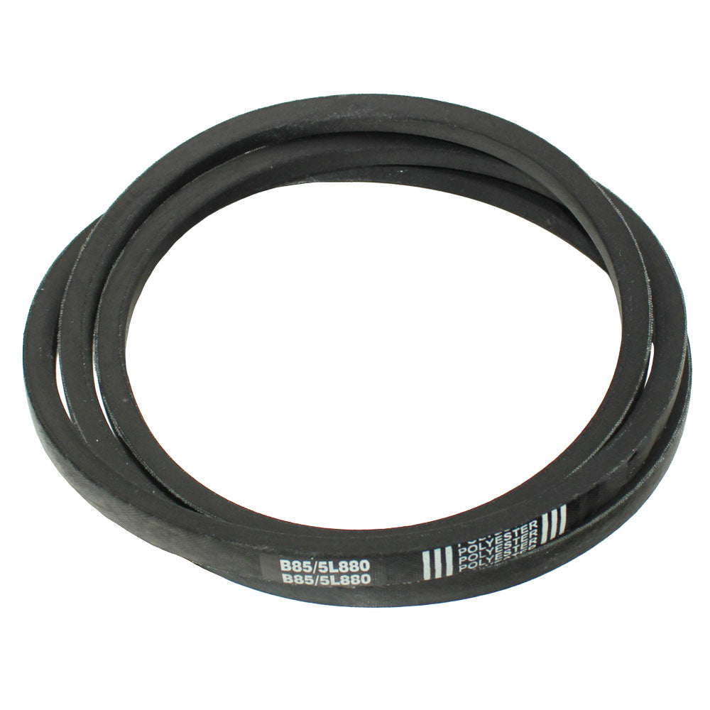 W9811000 Reel Primary Drive Belt – additional image 2
