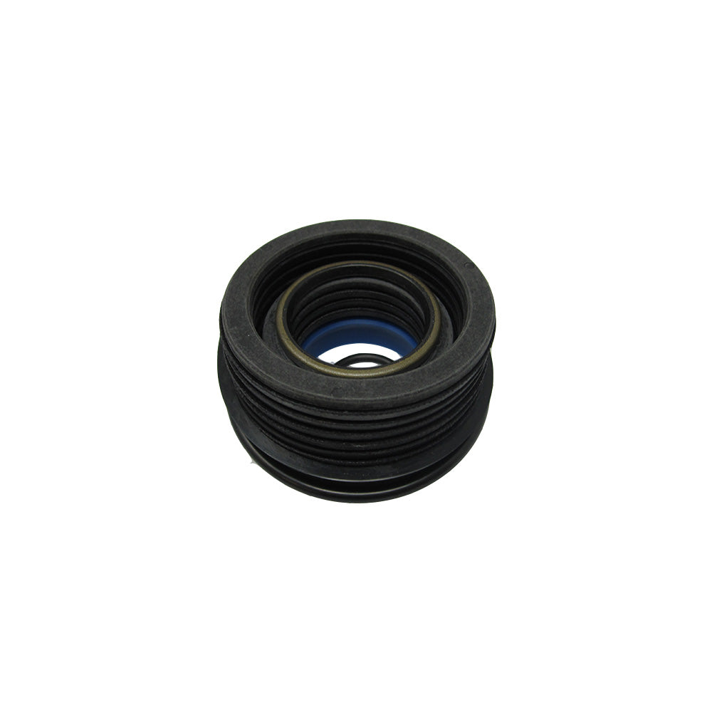 251166 Seal Repair Kit