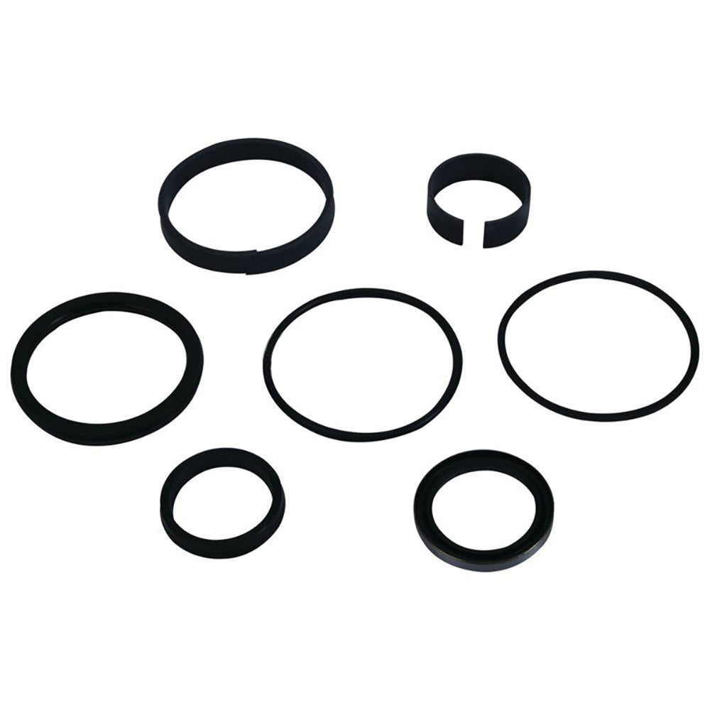 9843717 Hydraulic Cylinder Seal Repair Kit