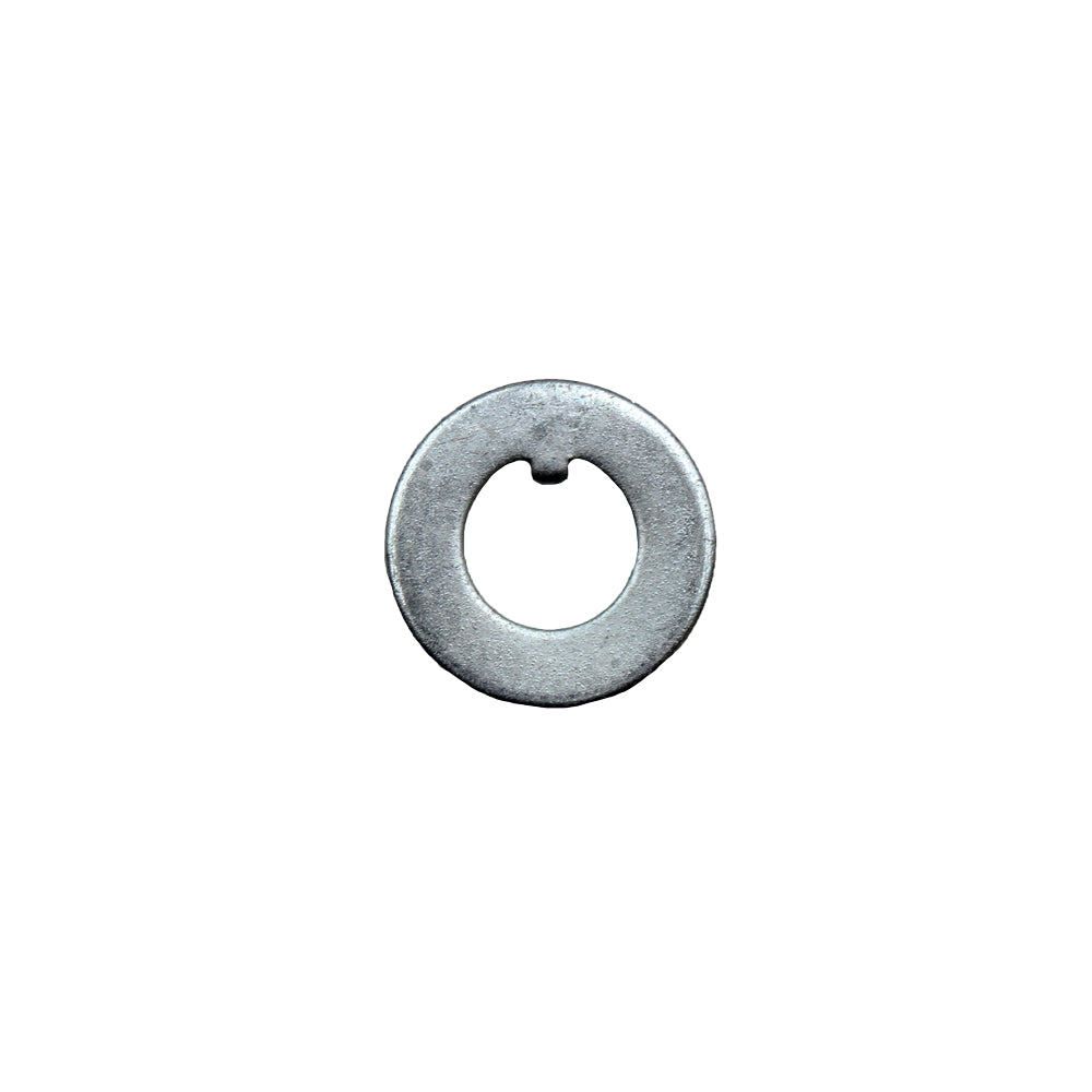 180010M1 Front Spindle Washer