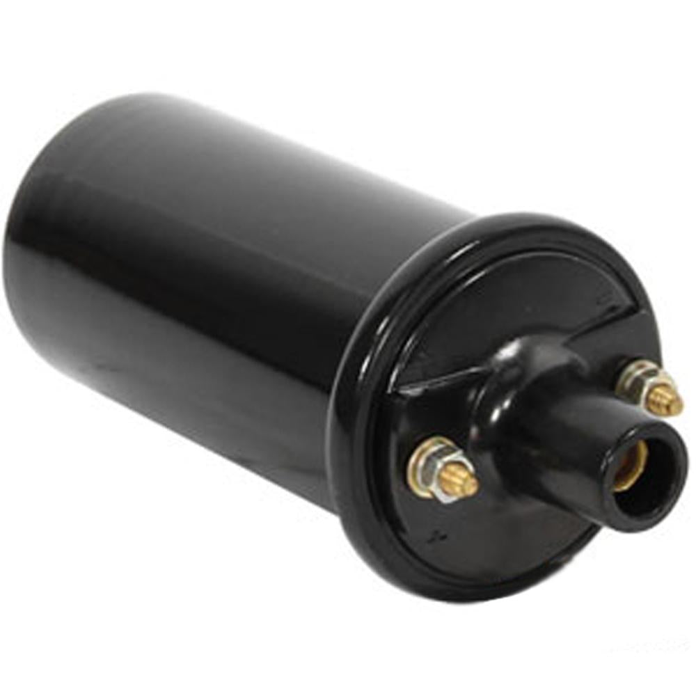 189673M1 Ignition Coil