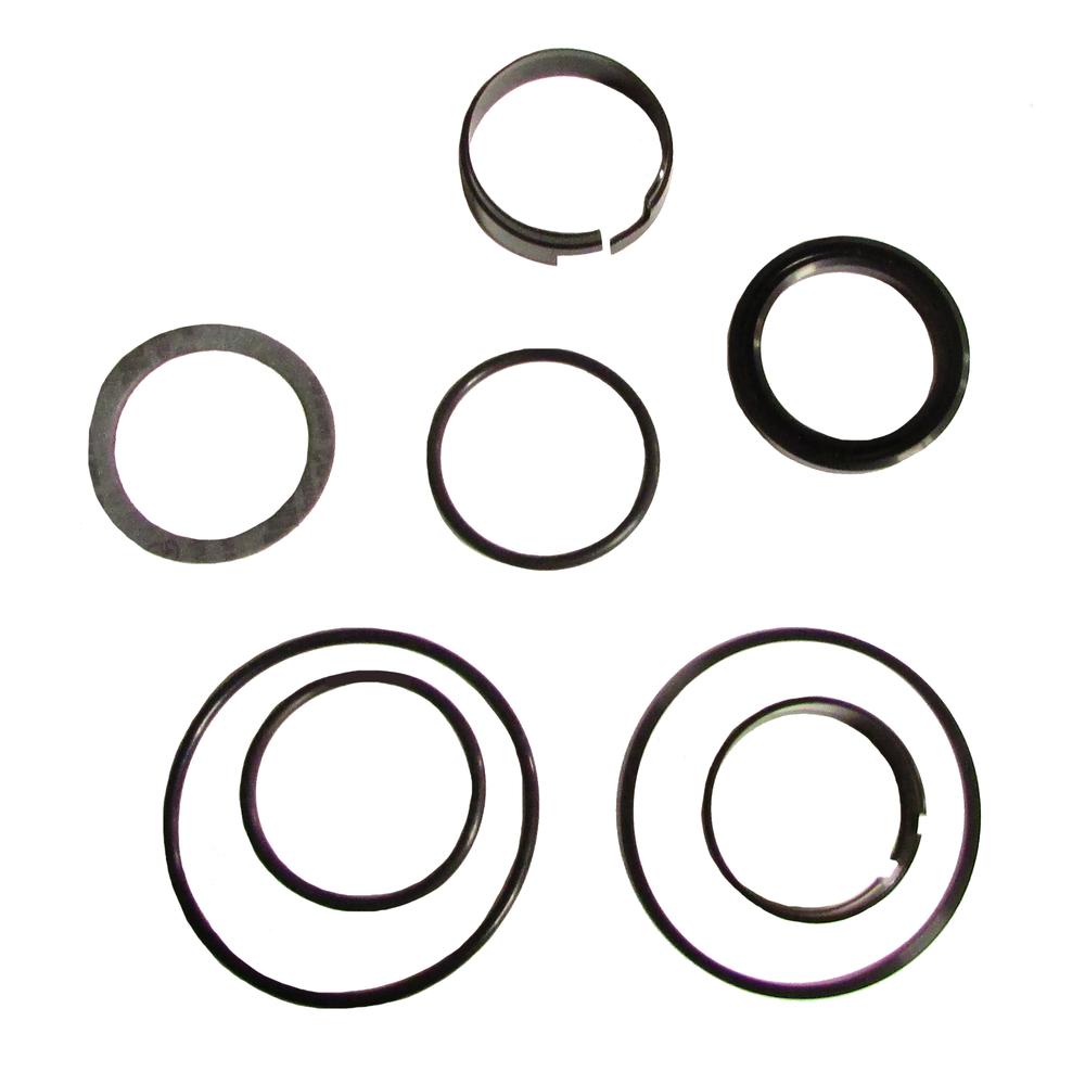 D42872 Cylinder Seal Repair Kit – Fits Case