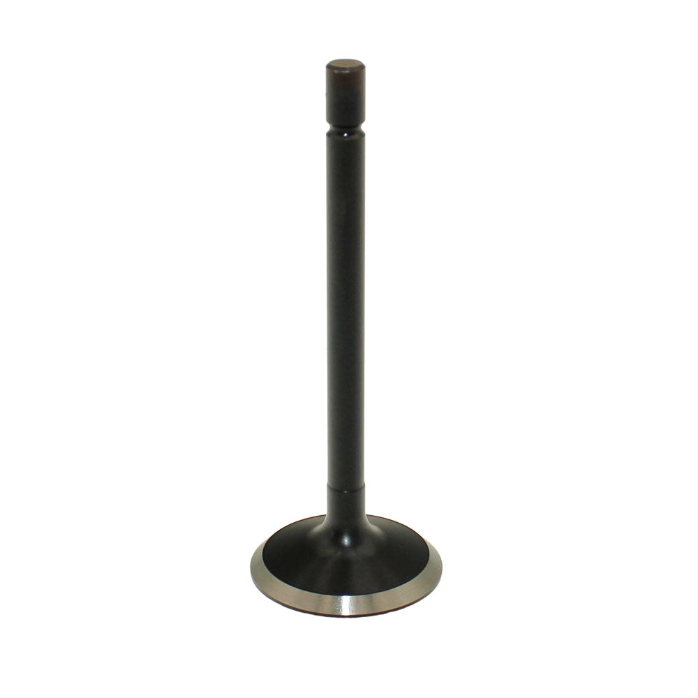 120166350 Intake Valve