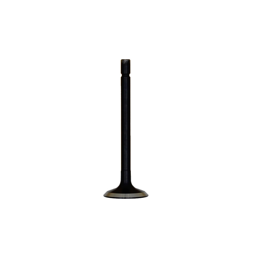P120176360 Exhaust Valve