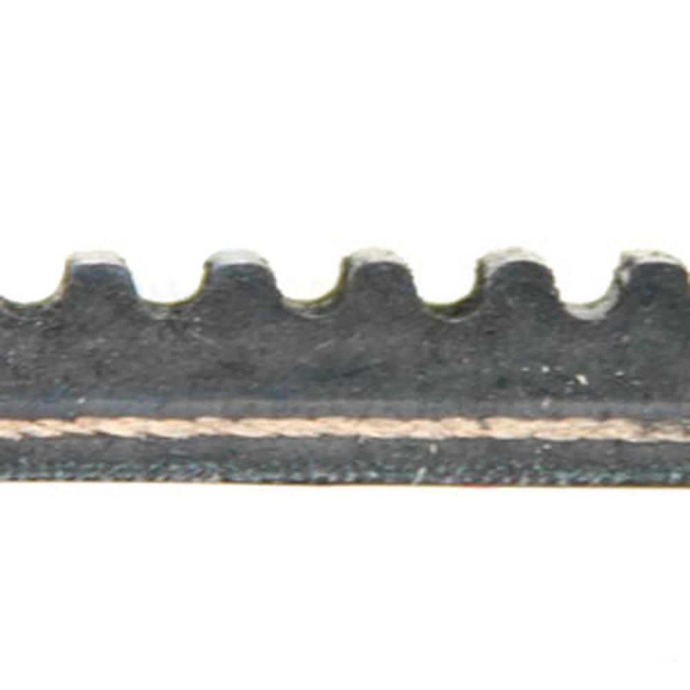 843198M1 Belt, Countershaft / Hyd Pump / AC Compressor – additional image 3