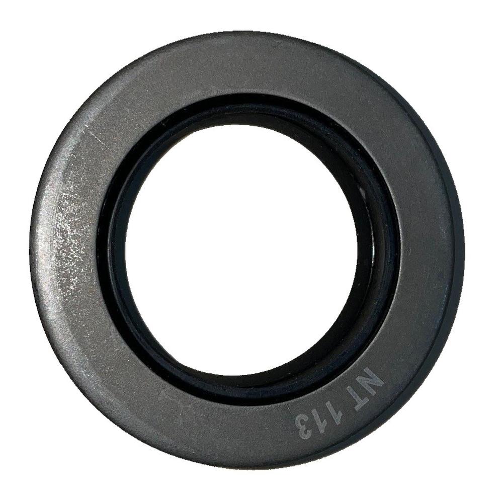 195763M1 Oil Seal