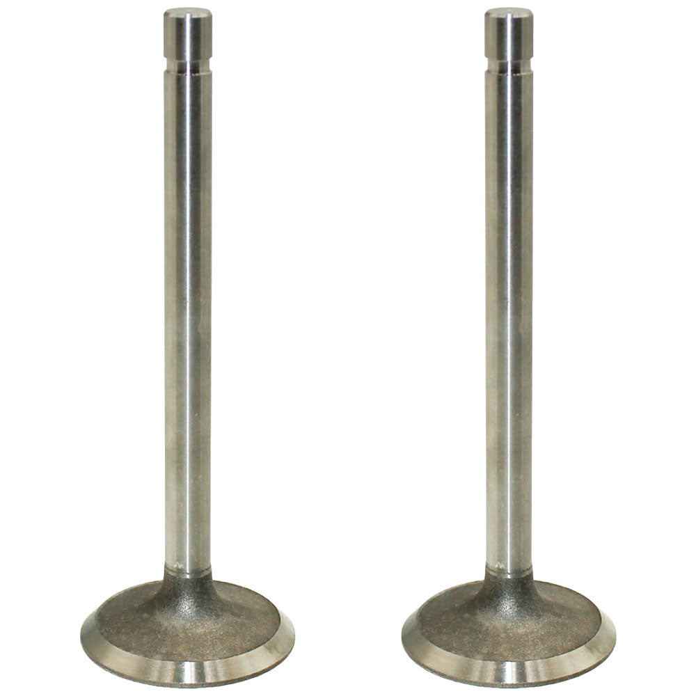 R79623 Two Standard Intake Valves – Fits John Deere