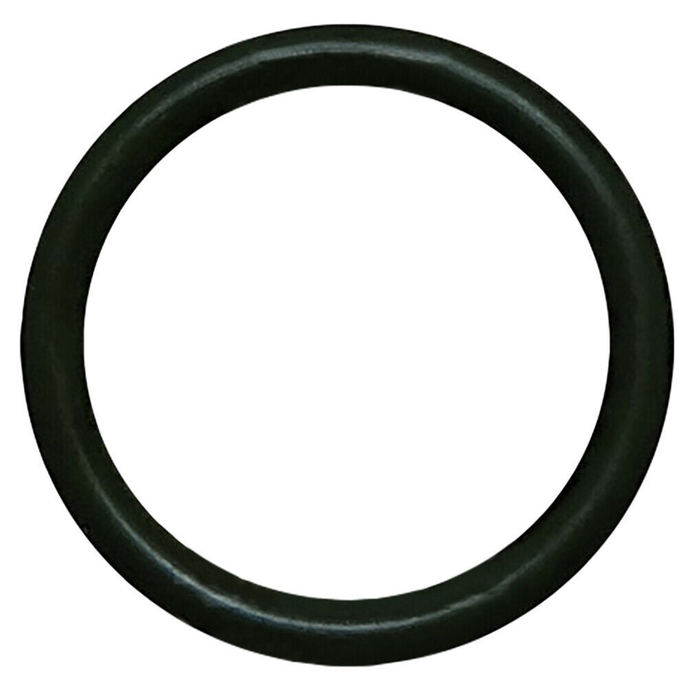 3D-2824 O-Ring Seal