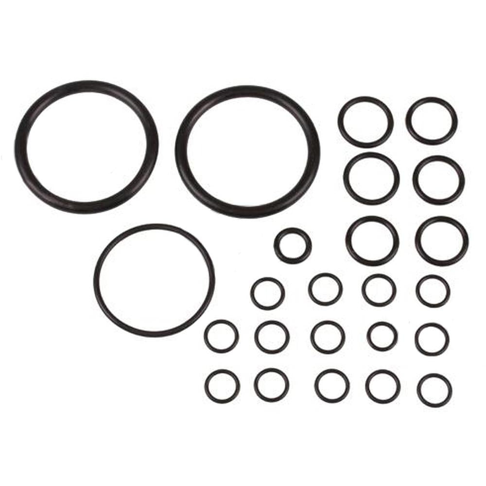 894906V91 Hydraulic Pump O-Ring Kit – Fits Massey Ferguson