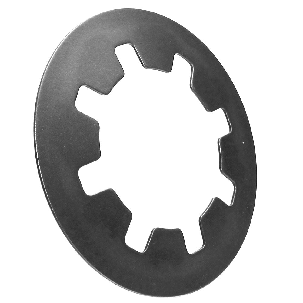 D50047 Spring – additional image 3