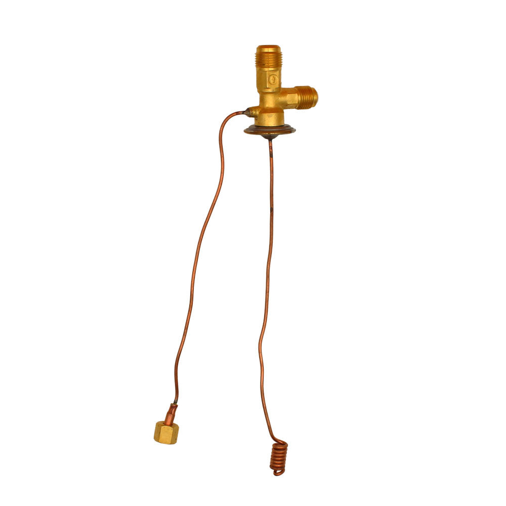 1072136M91 Expansion Valve