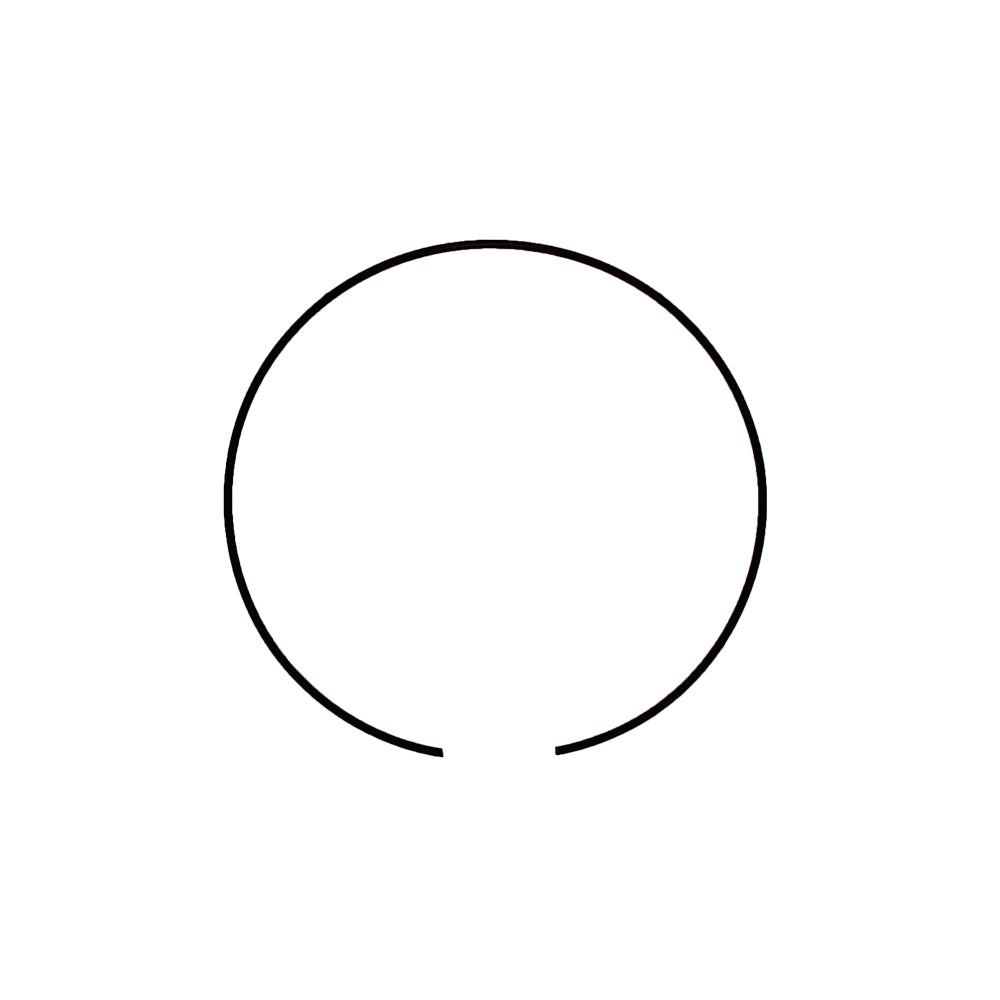100559A1 Lock Ring