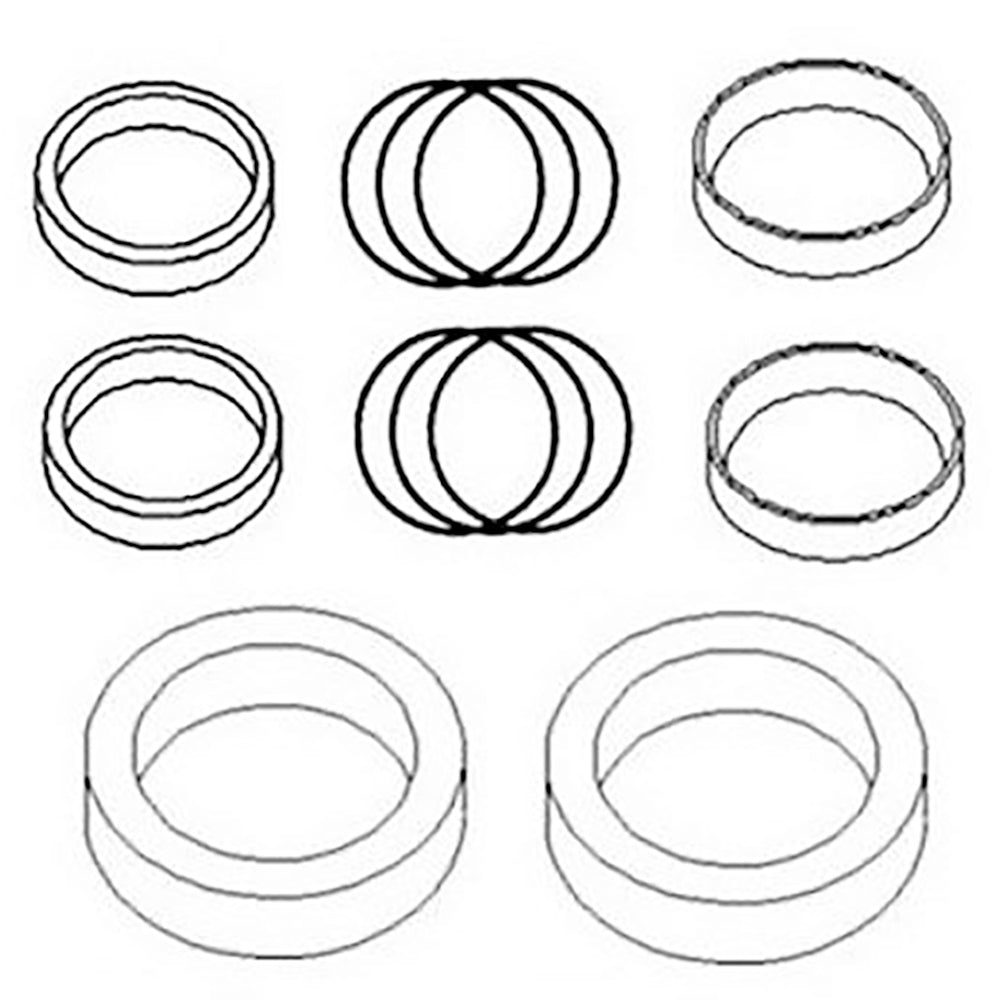 835833M92 Hydraulic Cylinder Seal Repair Kit – Fits Massey Ferguson
