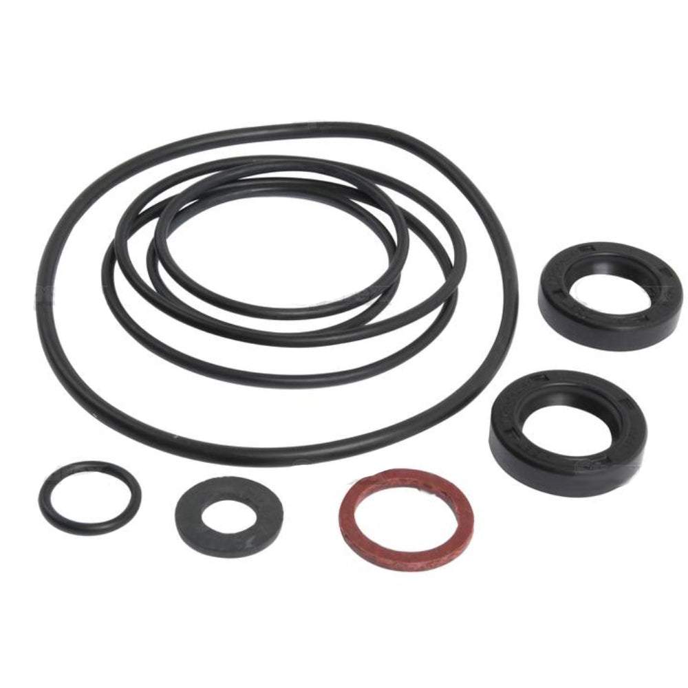 1810618M92 Power Steering Pump Kit – Fits Massey Ferguson