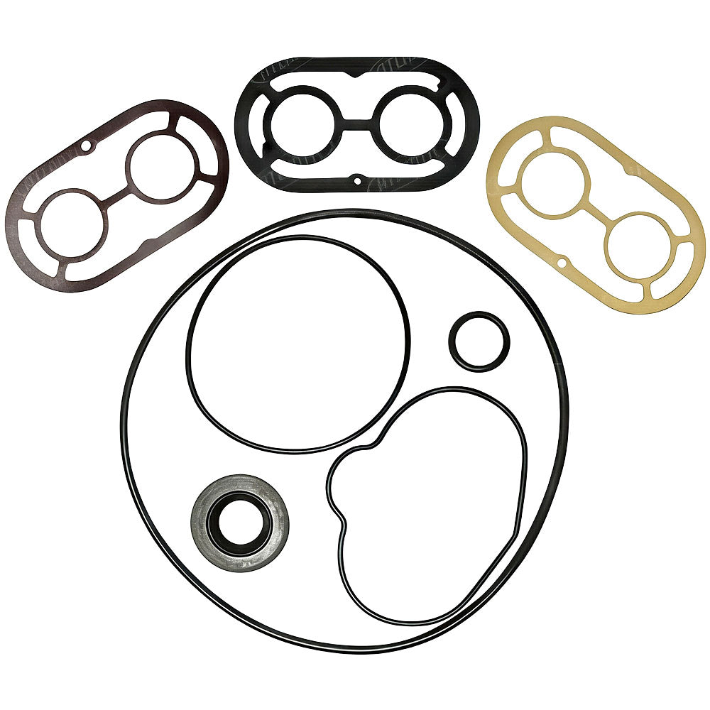 523089M91 Power Steering Pump Seal Repair Kit – Fits Massey Ferguson