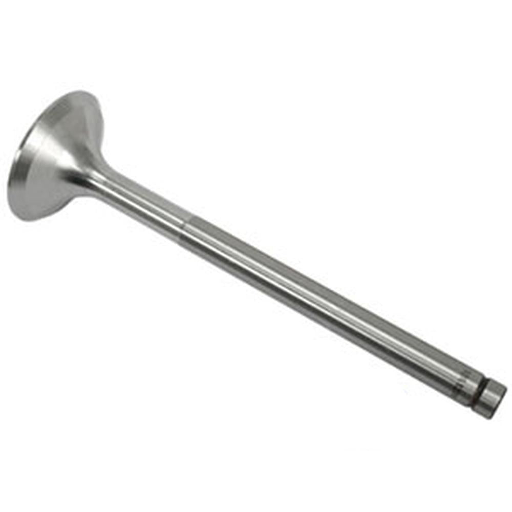 3055055R1 Intake Valve