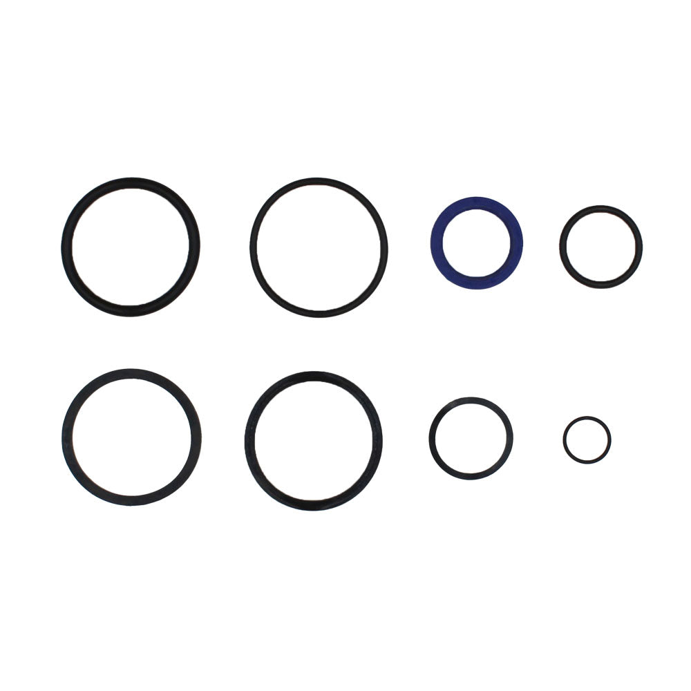 837529M91 Seal Repair Kit – Fits Massey Ferguson