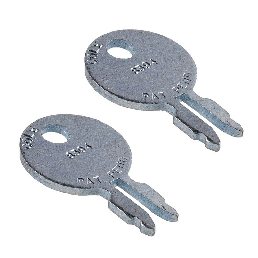 180292M1 (2)- Ignition Switch Key