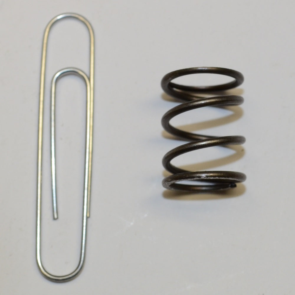334724A1 Spring – additional image 2