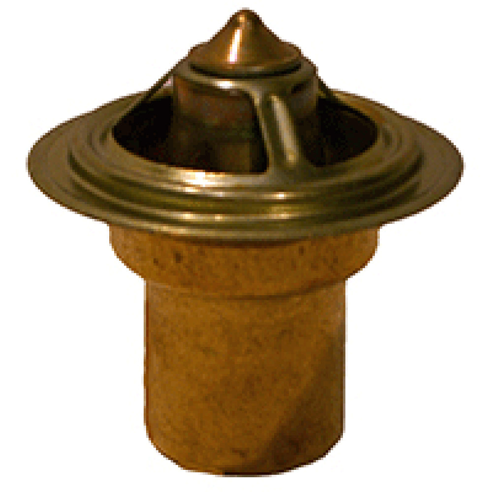 226505 160 Degree Thermostat – additional image 4