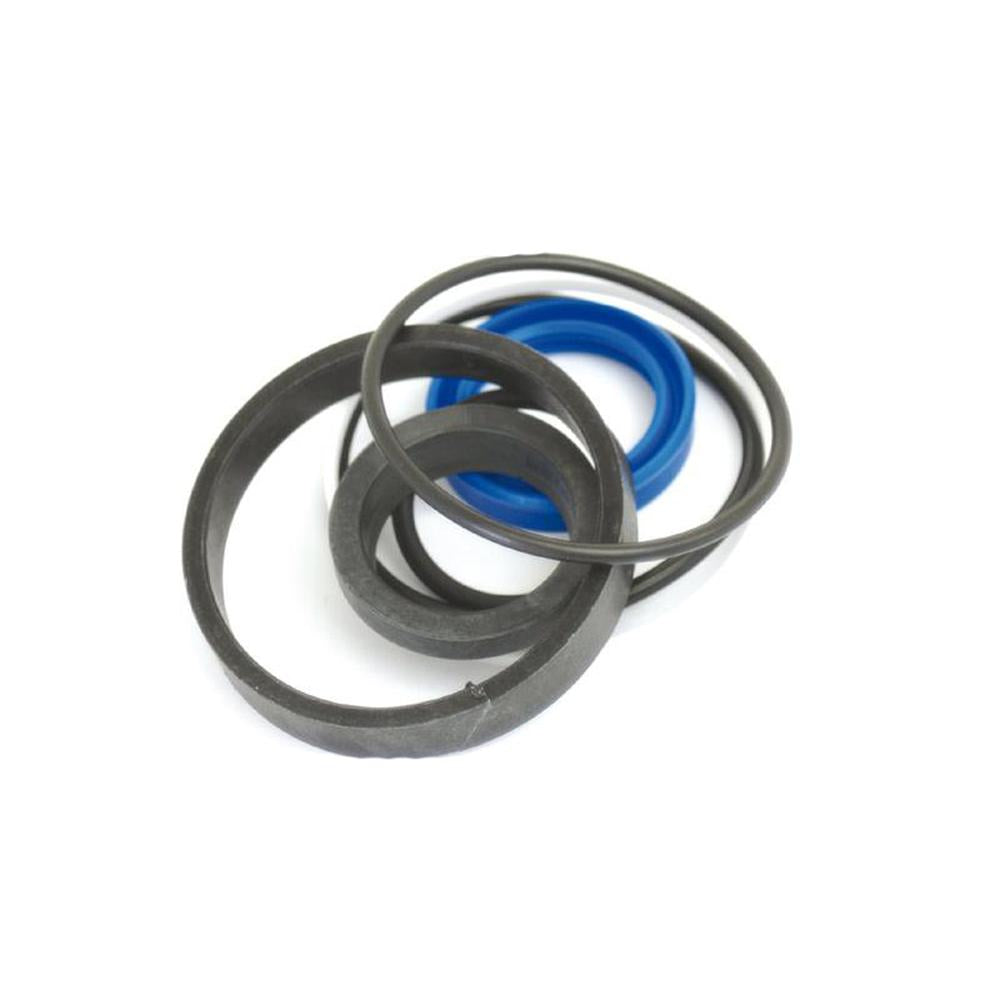 3484807M91 Seal Repair Kit – Fits Massey Ferguson