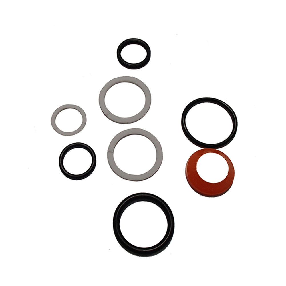 S.57951 Power Steering Seal Repair Kit Side Mounted – Fits David Brown