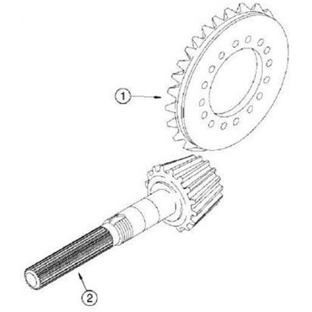 175956A1 Ring & Pinion – additional image 2